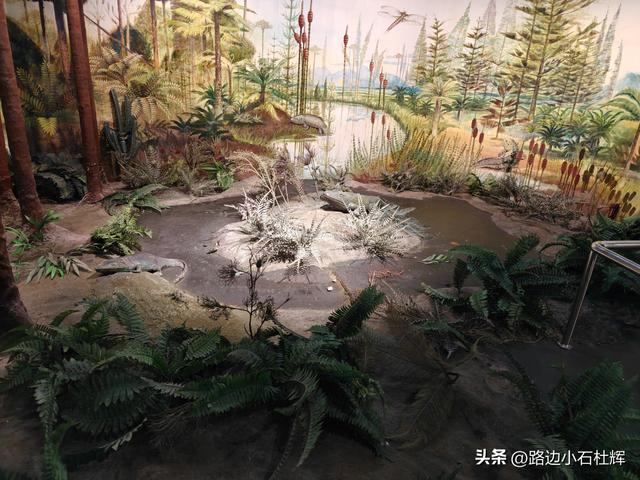 逛中国地质博物馆——一家好博物馆的暑期不佳体验