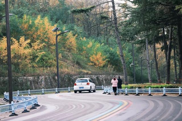 陕州黄河廊道：秋染长堤入画来