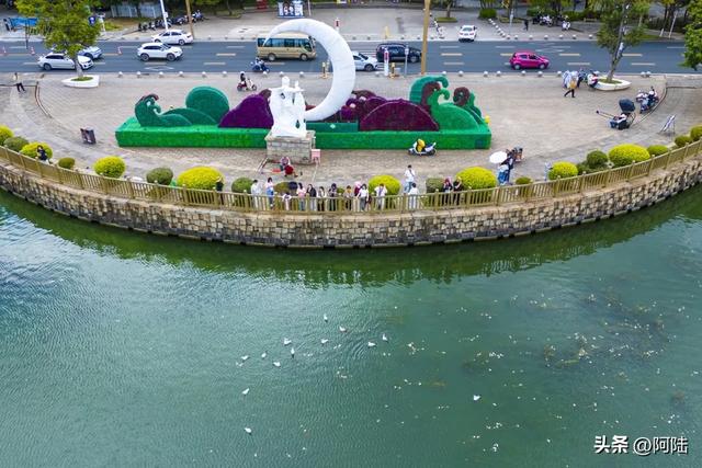 洱海边有个半圆形广场,不仅立着渔家女雕像,还是海鸥争宠的地方