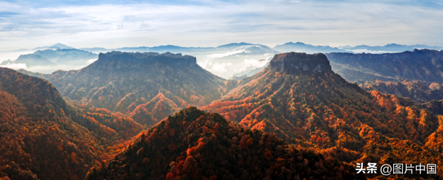 旺苍初冬红叶如画 山色斑斓引客来