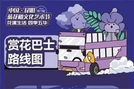 蓝花楹次第绽放，全城“梦幻紫”！赏花攻略→图片