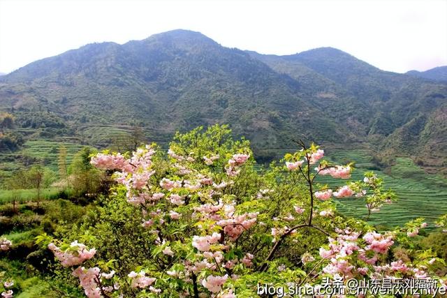 婺源篁岭旅游札记[三]（江西之旅第四十五篇）
