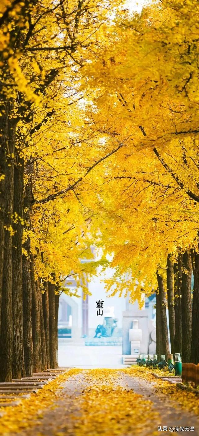 拥堵预警！这周末大家都去......