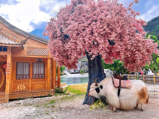 云南：夏可以纳凉冬可以避寒