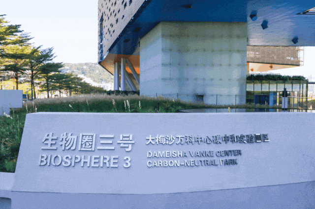 在盐田看海上运动，还能这样玩！