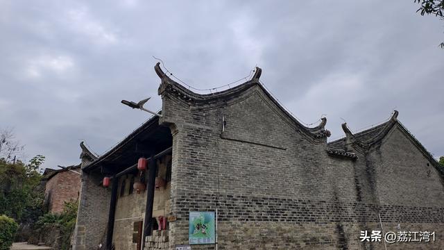 游长岗岭古村，观飘黄银杏