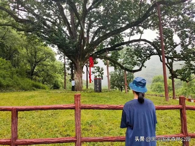 秋意初染，黑河美景正当时！一键开启赏秋之旅~