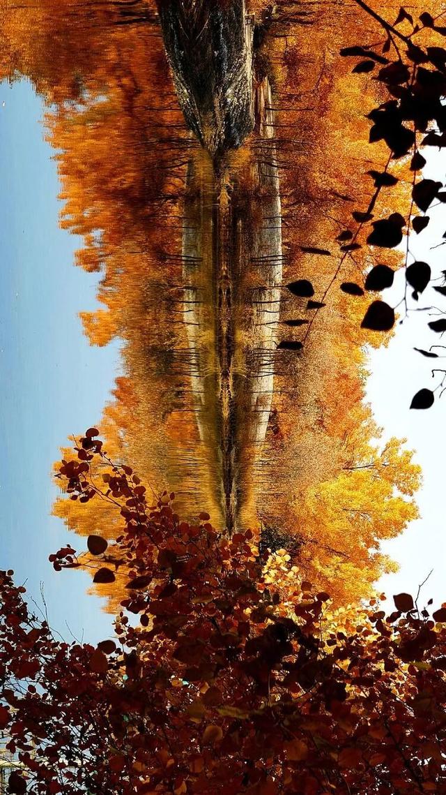 邢强 | 秋游南疆