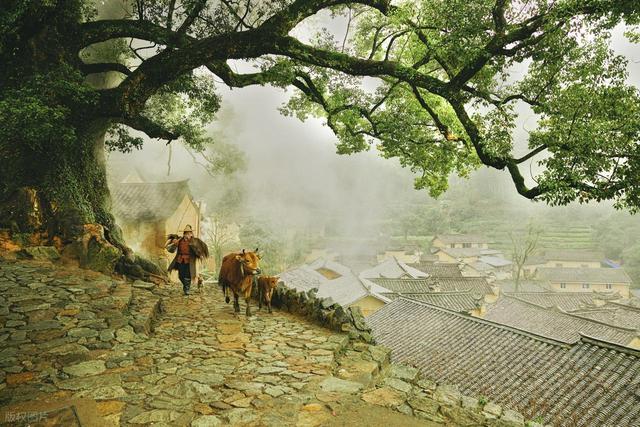 假期旅行的天花板！国内6座被严重低估的宝藏山水小城，风光超绝