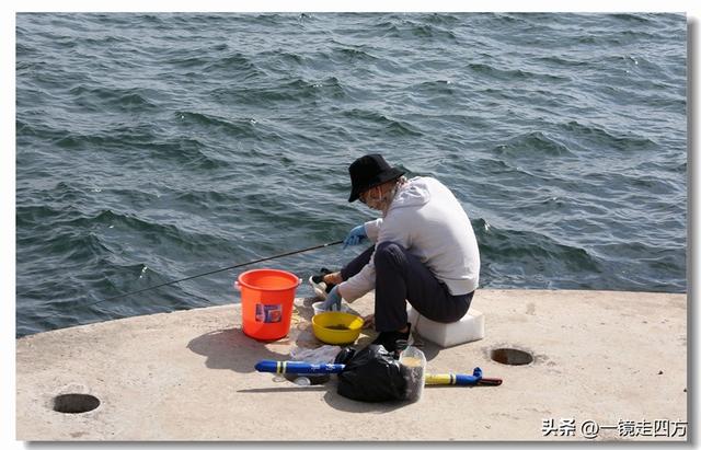 在大连陵水湾打造出的“海纳百川”国际雕塑景观带