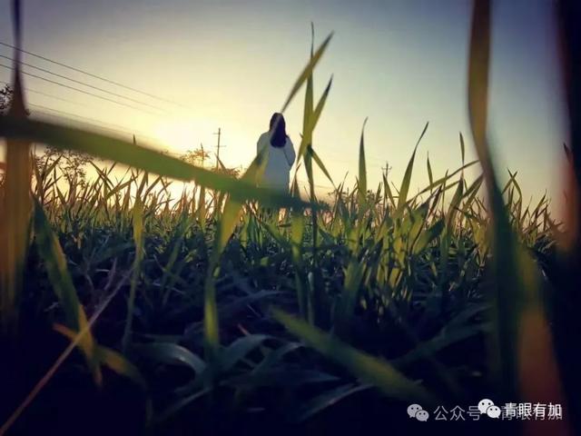 李富贵带老人们旅行,九年前,我也做过类似的事儿!