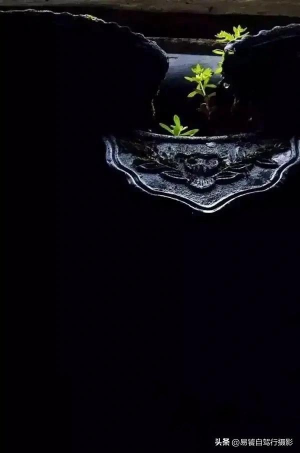 震撼!故宫瓦当,紫禁城守望者;中式美学老屋瓦当 只有中国人才懂