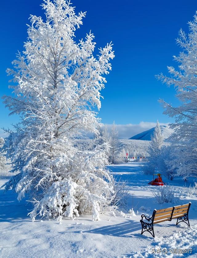 适合冬天一个人去的六个旅行地：与寒冷，也与自己温柔相拥