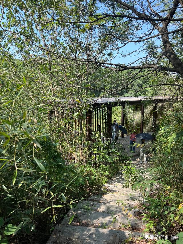 吴城“世界湿地，候鸟王国”