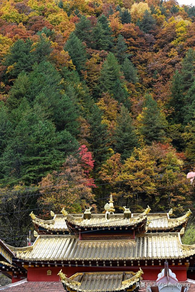 古意秋风三万里（D32）-从纳洛村到卓克基