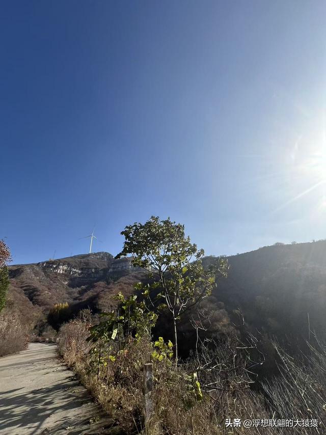 游赏过九鼎山后，我又跑到一户院里“强买”了大爷种在路边的白菜