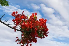 雷雨趋活跃 防御强对流图片