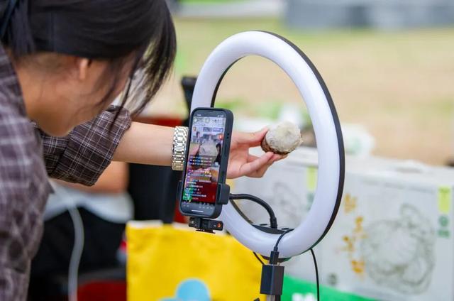 太仓顶流！稻田里的丰收狂欢，本周末必冲！