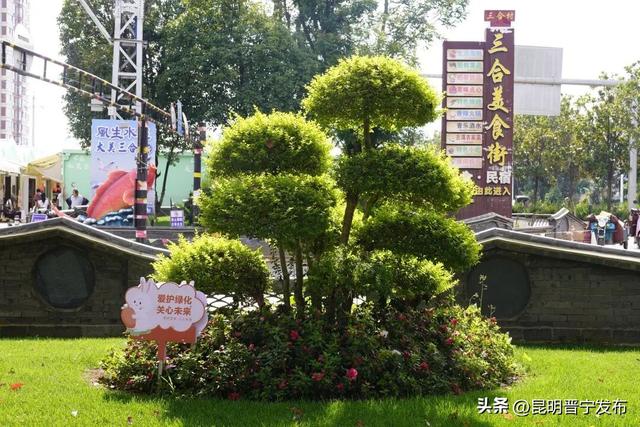 转角即公园，满城皆风景——晋宁“口袋公园”悄悄惊艳