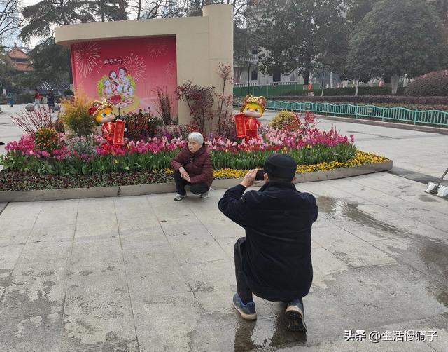 武汉十二月——一月一帧藏走过2025的四季光影