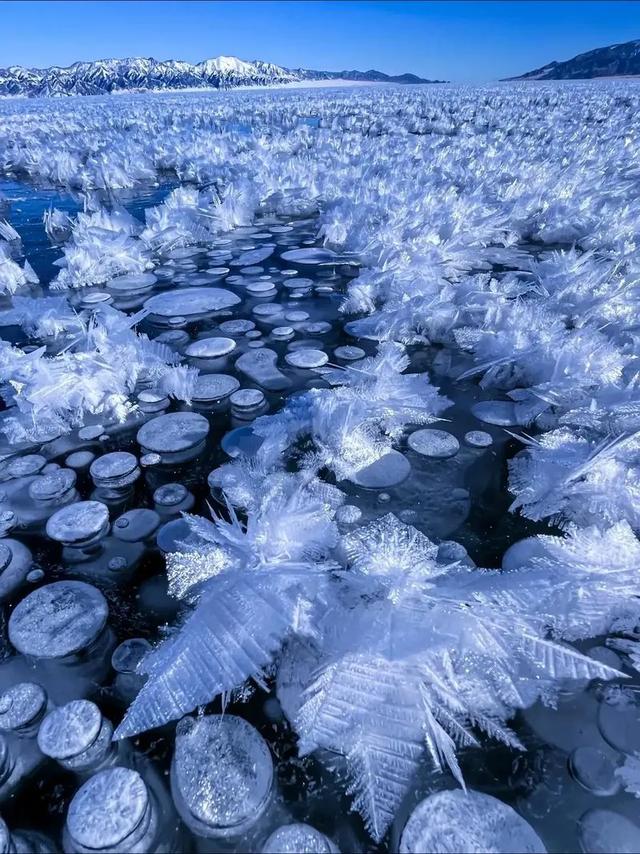新疆冬日仙境:在人类滑雪起源地解锁粉雪、民俗与美食的终极狂欢