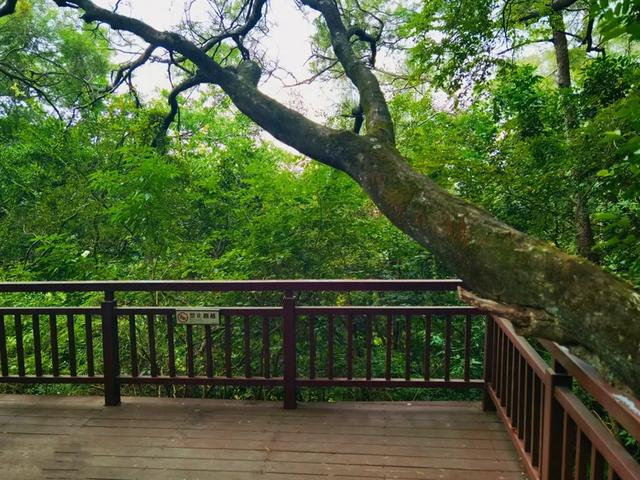 “若得一日闲 山中品千年” 游泉州清源山