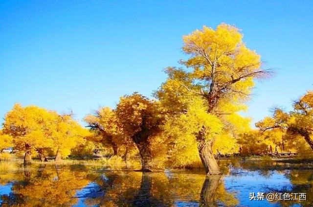 三千年的守望，赴一场大漠金辉之约