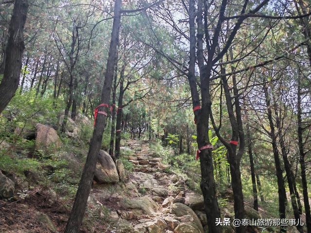 泰安西藏着一座“小泰山”，耗资1000万元打造，是自驾休闲好去处