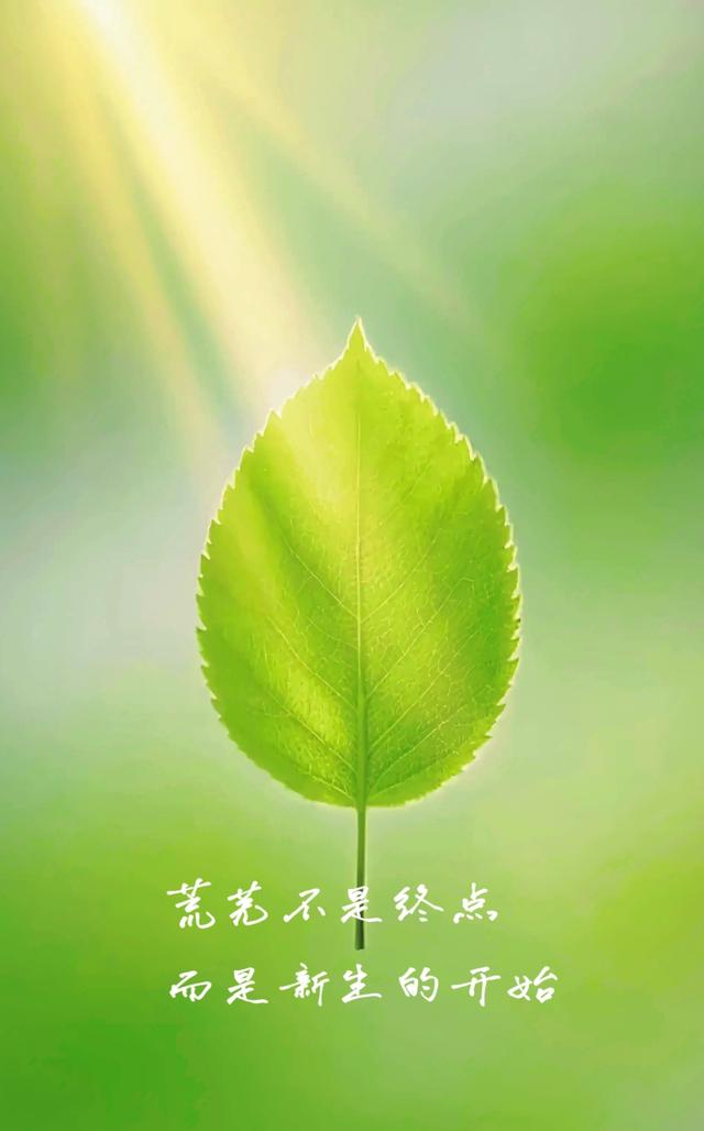 传媒和传销的区别