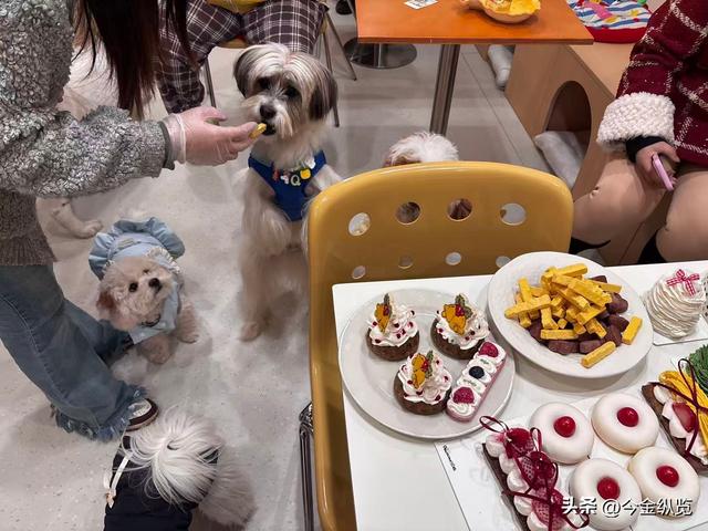 烤肉店禁狗，自助餐却爆火？宠物经济狂飙，人性的“情感代偿”！