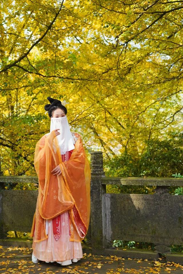 黄了！成都出发1.5h刹拢赏秋秘境，茶海风光无敌，银杏美了上千年！