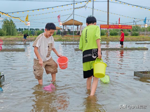 "鱼"悦盛夏 云梦陶楼庄园打造亲子避暑新体验