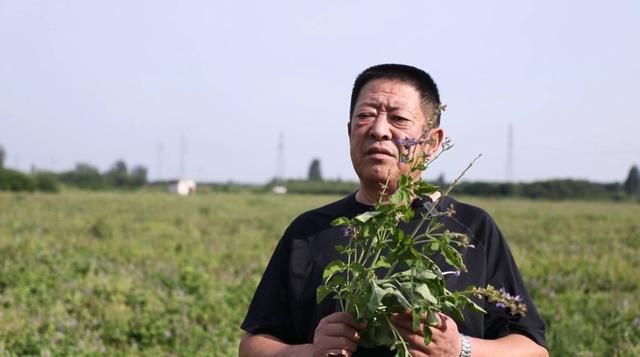 文化中国行丨白露时节探访山口镇：白露染秋意 山口藏温情