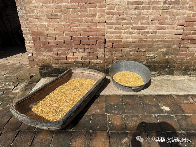 冠县乡韵·兰沃乡大柳邵村