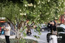 浙江天气有变：阵雨雷雨下午就到！局部或有雷暴大风图片