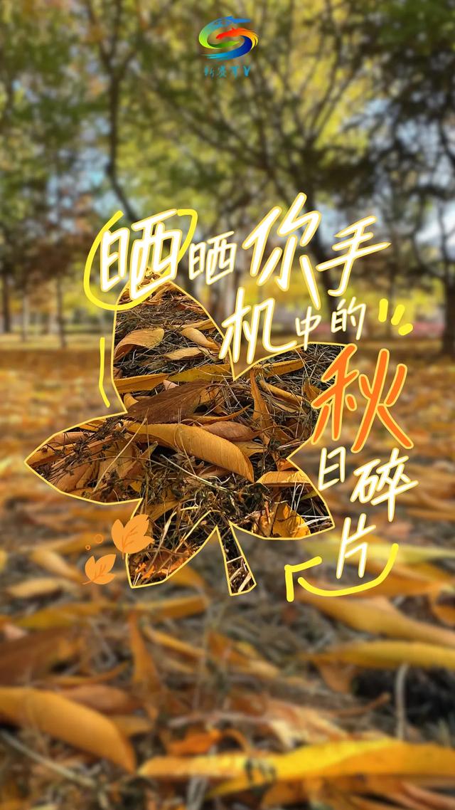 北疆文化 遇鉴赛罕 | 晒晒你手机中的赛罕秋色