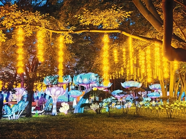 一天都有景！白天游园晚上赏灯！青岛灯会成市民游客追捧新光景