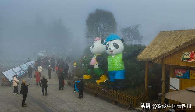 四川雅安：碧峰峡风光旖旎引客来