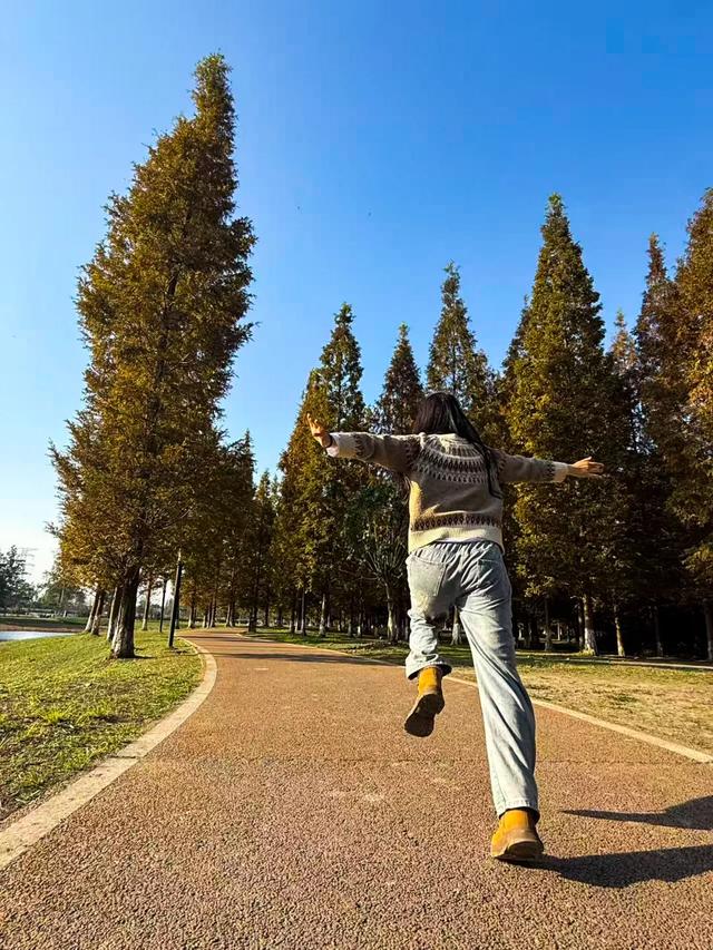 郫都水杉红了！抱着手机猛拍，被这限定美景狠狠惊艳