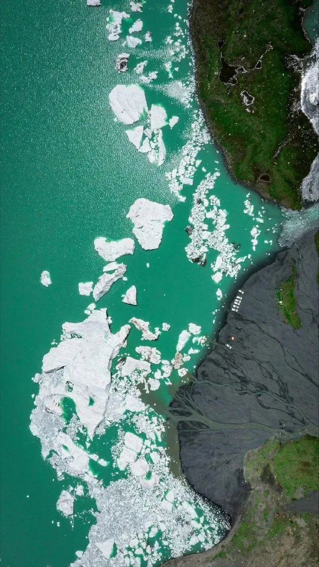 极地那曲不仅美在雪山湖泊，更美在每一棵生机盎然的树