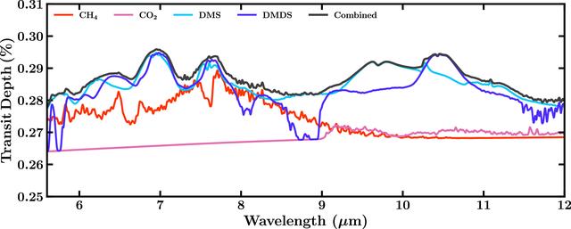 2025年即将结束，但10条不附和大众情感的科学“真理”依然成立