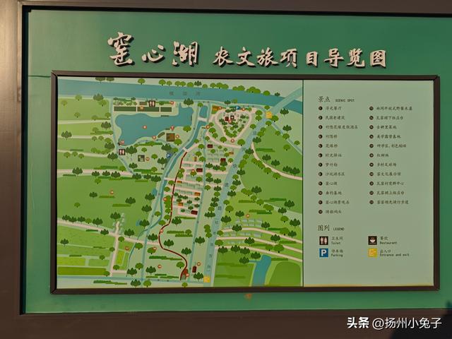 一月，我是一只吃窝边草的兔子