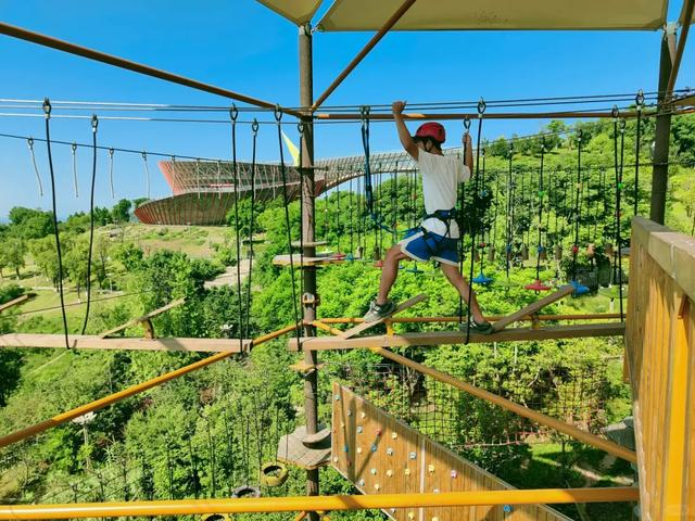 成都秋游宝藏地，周末徒步遛娃看彩林，人少景美还免费，冲鸭！