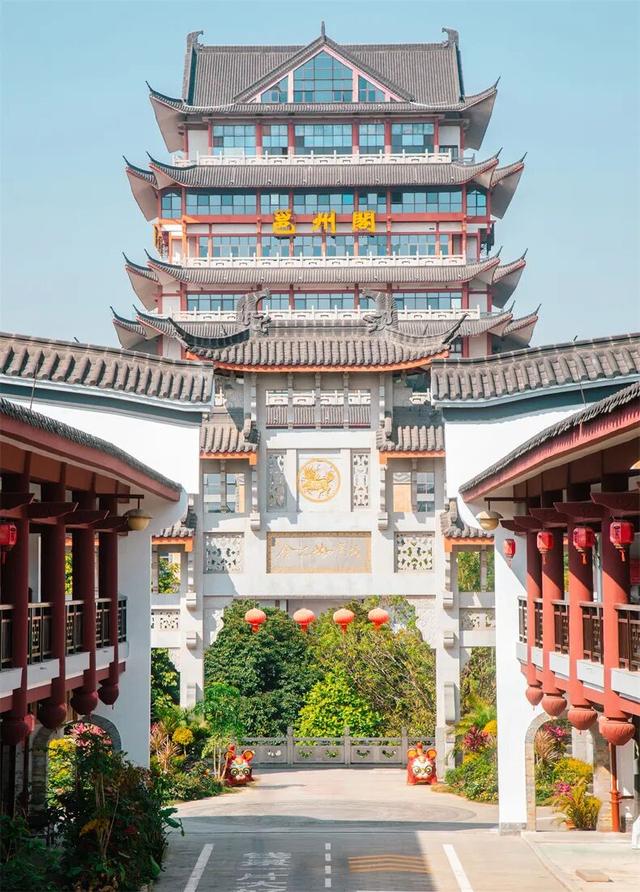 一半是安逸养老，一半是熬夜天堂！这座城冬天有鲜花，凌晨有人潮