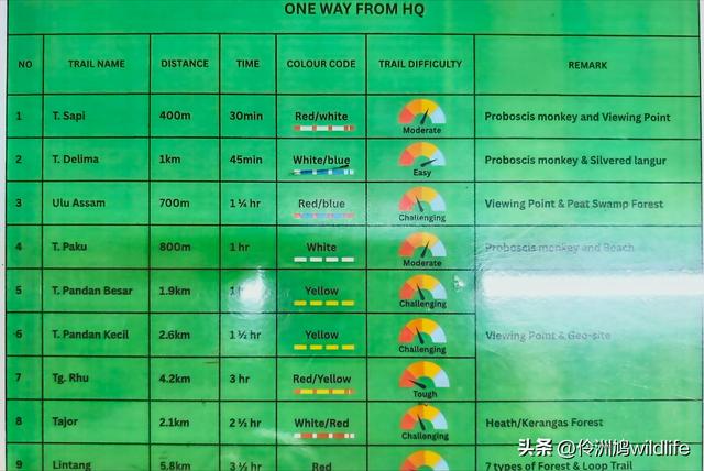 马来西亚(35)砂拉越州⑨峇哥国家公园徒步线路