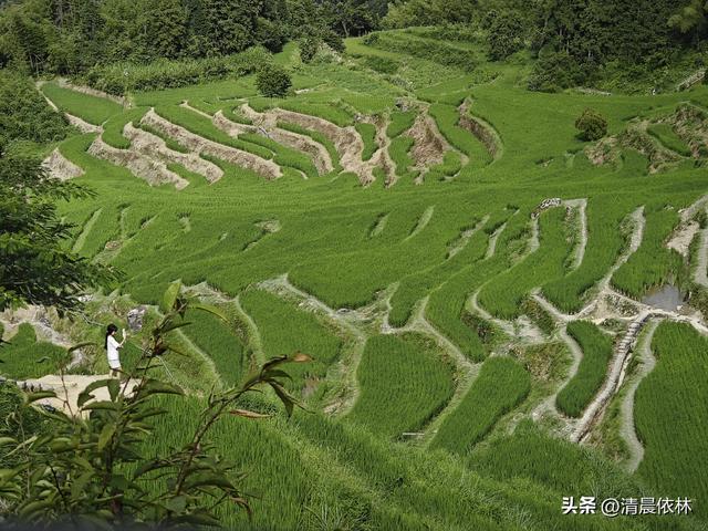 松阳、云和三日行：8月27日，第三天