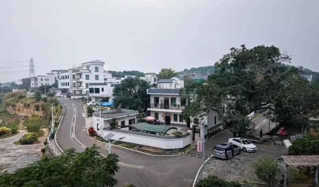 12月20日,欢乐开走!茂名徒步5条线路,你中意哪条?