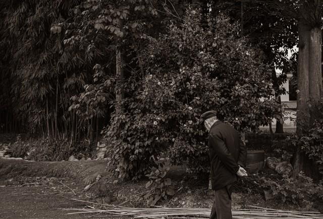 雾散竹青处 心向暖阳行