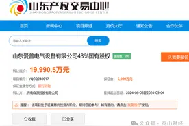 挂牌底价近2亿元，国网山东电力转让旗下爱普电气43%股权图片