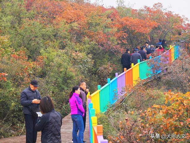 赵庄：红叶与五彩步道交织的秋日盛景